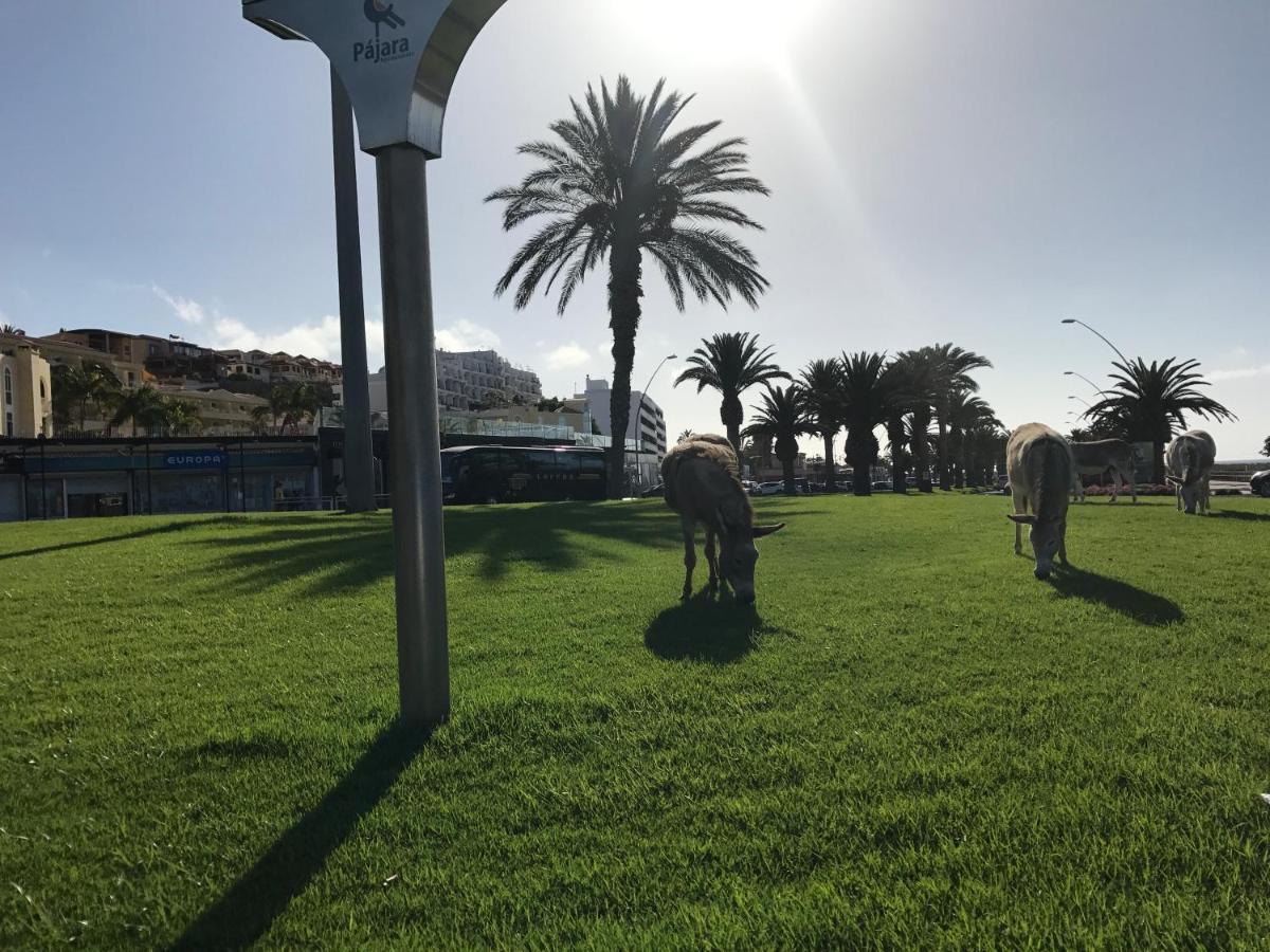 Holamigos Morro Jable Lägenhet Exteriör bild